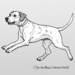 German Shorthaired Pointer in Action Coloring Pages 2