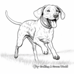 German Shorthaired Pointer in Action Coloring Pages 3