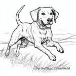 German Shorthaired Pointer in Action Coloring Pages 4