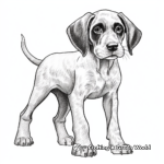 German Shorthaired Pointer Puppy Coloring Pages 2