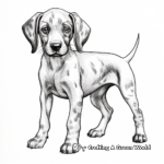 German Shorthaired Pointer Puppy Coloring Pages 4