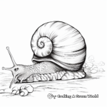 Giant African Snail Coloring Pages 1