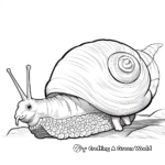 Giant African Snail Coloring Pages 2