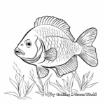 Giant Bluegill Fish Coloring Pages 4