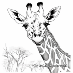 Giraffe Head in Natural Scenery Coloring Pages 1