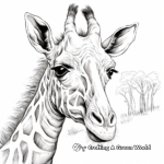 Giraffe Head in Natural Scenery Coloring Pages 4