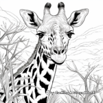 Giraffe in Savannah Coloring Pages 1