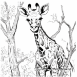 Giraffe in Savannah Coloring Pages 4