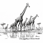 Giraffes Migrating Realistic Coloring Pages 1