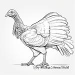 Glorious Wild Turkey Coloring Pages 1