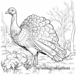 Glorious Wild Turkey Coloring Pages 4