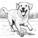 Golden Retrievers in Action: Fetching Balls Coloring Pages 1
