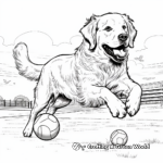 Golden Retrievers in Action: Fetching Balls Coloring Pages 2