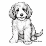 Gorgeous Black and White Bernedoodle Coloring Pages 2
