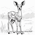 Graceful Gazelle Antelope Coloring Pages 2