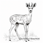 Graceful Gazelle Antelope Coloring Pages 4