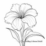 Graceful Lily Coloring Pages 1
