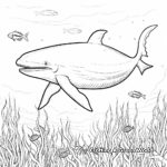 Grand Blue Whale Coloring Pages 1