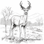 Grant's Gazelle in Natural Habitat Coloring Pages 1