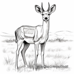 Grant's Gazelle in Natural Habitat Coloring Pages 3