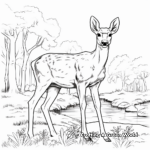 Grazing Zoo Deer Coloring Sheets 1