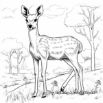 Grazing Zoo Deer Coloring Sheets 2