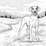 Great Dane in Nature Coloring Pages: Dog Park Scenes 4