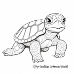 Green Sea Turtle Coloring Sheets 2