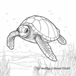 Green Sea Turtle Coloring Sheets 3