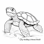 Green Turtle Coloring Pages 4