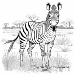 Grevy's Zebra Coloring Pages for Nature Enthusiasts 3