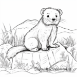 Hairy Ferret in Natural Habitat Coloring Pages 4