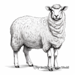 Hardy Domestic American Sheep Coloring Pages 4