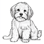 Havanese and their Puppies Coloring Pages 2