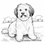 Havanese in a Park Coloring Pages 3