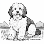 Havanese in a Park Coloring Pages 4