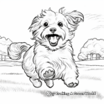 Havanese in Action: Running, Playing, Jumping 1