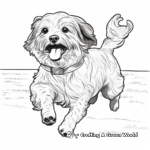 Havanese in Action: Running, Playing, Jumping 4