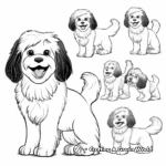 Havanese in Different Poses Coloring Pages 2