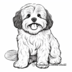 Havanese with Toys Coloring Pages 1