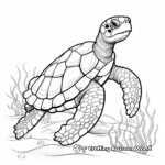 Hawksbill Turtle Coloring Pages for Kids 1