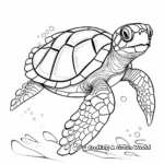 Hawksbill Turtle Coloring Pages for Kids 3