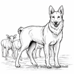 Herding German Shepherd Coloring Pages 4