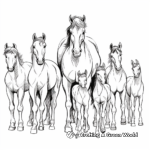 Herds of Different Horse Breeds Coloring Pages 1