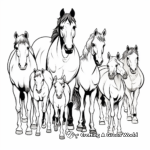 Herds of Different Horse Breeds Coloring Pages 2