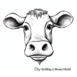Hereford Cow Face Coloring Pages 3