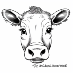 Hereford Cow Face Coloring Pages 4