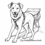 Heritage Breed Chinook Sled Dog Coloring Sheets 1