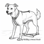 Heritage Breed Chinook Sled Dog Coloring Sheets 2