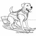 Heritage Breed Chinook Sled Dog Coloring Sheets 4